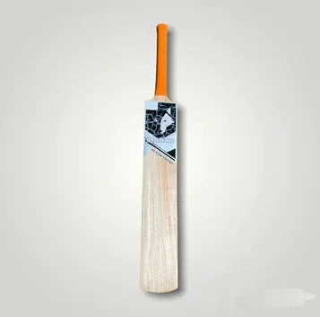 Top Best Kashmir Willow Cricket Bats