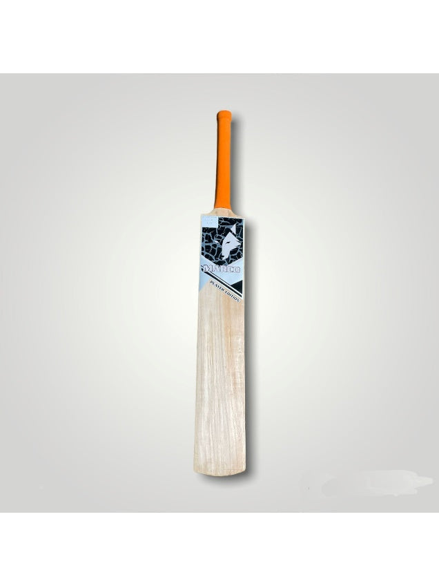 The 4 Best Kashmir Willow Cricket Bat for Players of All Levels