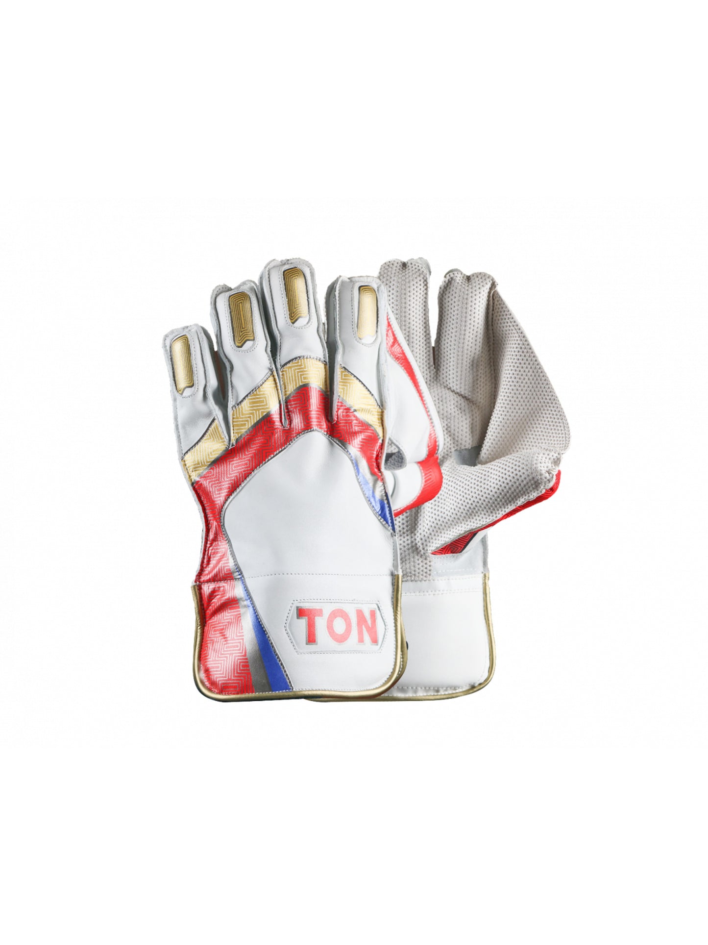 SS TON Pro 1.0 Wicket Keeping Gloves