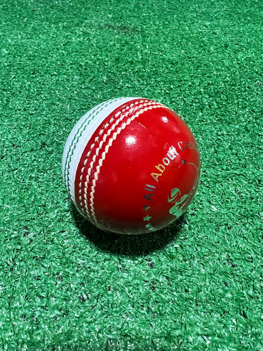 AAC Dual Color Cricket Training Balls