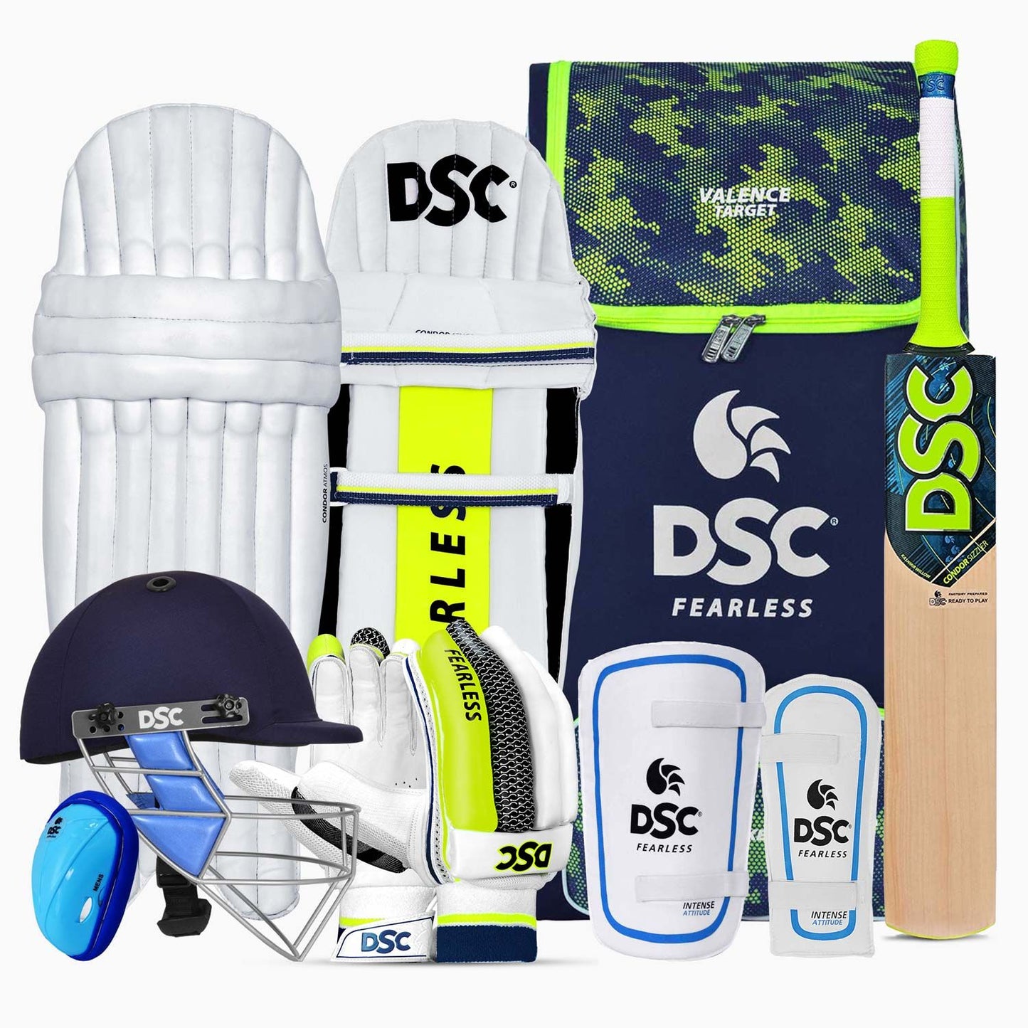 DSC Premium Kashmir Willow Cricket Kit